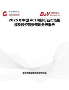 2025年中国VCI薄膜行业市场规模及投资前景预测分析报告