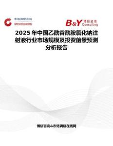 2025年中国乙酰谷酰胺氯化钠注射液行业市场规模及投资前景预测分析报告