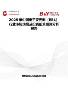 2025年中国电子束光刻（EBL）行业市场规模及投资前景预测分析报告