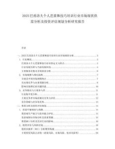 2025巴甫洛夫个人芭蕾舞技巧培训行业市场现状供需分析及投资评估规划分析研究报告.docx