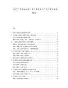 2025巴西清洁能源行业投资机遇与产业政策发展深度文.docx