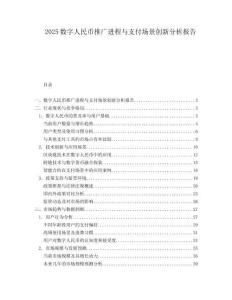 2025数字人民币推广进程与支付场景创新分析报告.docx