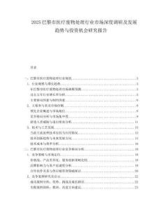 2025巴黎市医疗废物处理行业市场深度调研及发展趋势与投资机会研究报告.docx