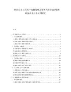 2025安圭拉岛医疗废物处理及循环利用价值评估和环保技术转化应用研究.docx