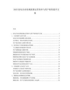 2025家电企业私域流量运营效率与用户粘性提升方案.docx