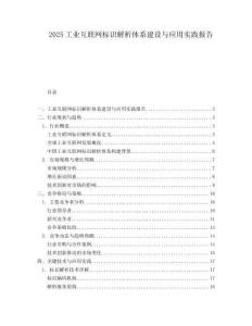 2025工业互联网标识解析体系建设与应用实践报告.docx