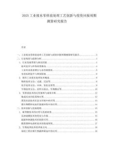2025工业废水零排放处理工艺创新与投资回报周期测算研究报告.docx