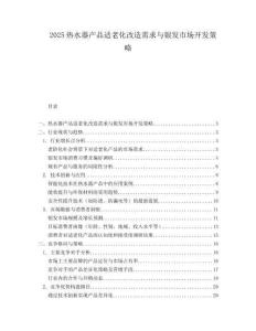 2025热水器产品适老化改造需求与银发市场开发策略.docx