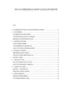 2025电力储能系统安全标准与电站运营风险控制.docx