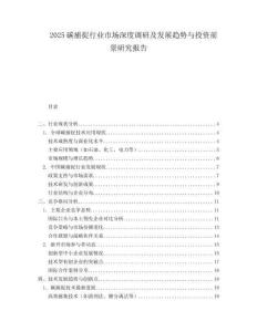 2025碳捕捉行业市场深度调研及发展趋势与投资前景研究报告.docx
