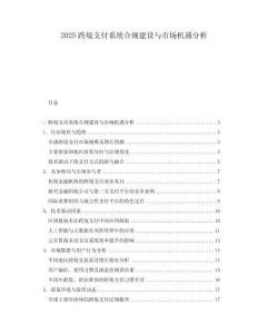 2025跨境支付系统合规建设与市场机遇分析.docx