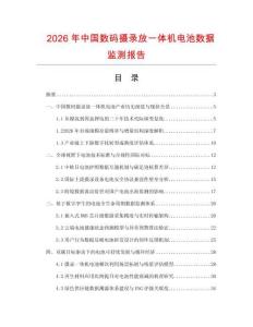 2026年中国数码摄录放一体机电池数据监测报告.docx