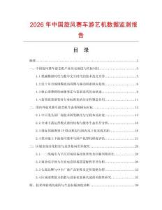 2026年中国旋风赛车游艺机数据监测报告.docx