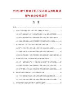 2026微小型读卡机下沉市场应用场景创新与商业变现路径.docx