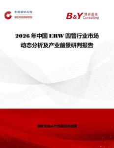 2026年中国ERW圆管行业市场动态分析及产业前景研判报告