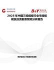 2025年中国三轮摇摇行业市场规模及投资前景预测分析报告