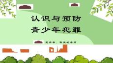 完整版中小学《预防未成年人犯罪主题教育》主题班会课件PPT