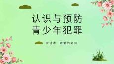 完整版中小学《预防未成年人犯罪主题教育》主题班会课件PPT