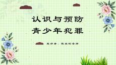 完整版中小学《预防未成年人犯罪主题教育》主题班会课件PPT