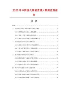 2026年中国直孔陶瓷滤渣片数据监测报告.docx
