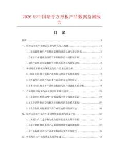 2026年中国暗骨方形板产品数据监测报告.docx