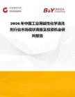 2026年中国工业用碱性化学清洗剂行业市场现状调查及投资机会研判报告