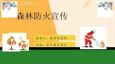 【精品】森林草原防火知识讲座ppt