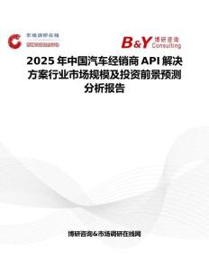 2025年中国汽车经销商API解决方案行业市场规模及投资前景预测分析报告