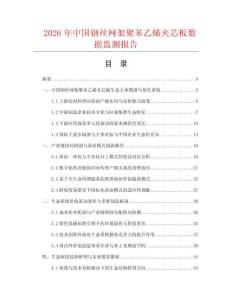 2026年中国钢丝网架聚苯乙烯夹芯板数据监测报告.docx