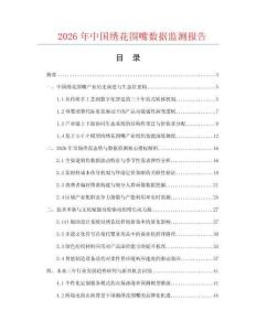 2026年中国绣花围嘴数据监测报告.docx
