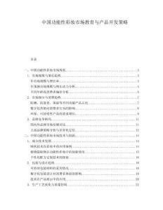 中国功能性彩妆市场教育与产品开发策略.docx