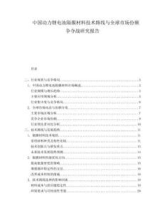 中国动力锂电池隔膜材料技术路线与全球市场份额争夺战研究报告.docx