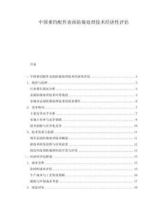 中国垂钓配件表面防腐处理技术经济性评估.docx
