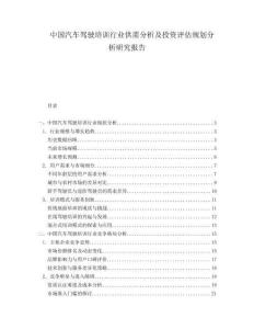 中国汽车驾驶培训行业供需分析及投资评估规划分析研究报告.docx