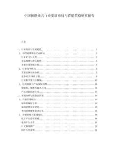 中国按摩器具行业渠道布局与营销策略研究报告.docx