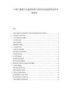 中国大数据中心能效标准与绿色化改造投资前景分析报告.docx