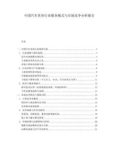 中国汽车美容行业服务模式与市场竞争分析报告.docx