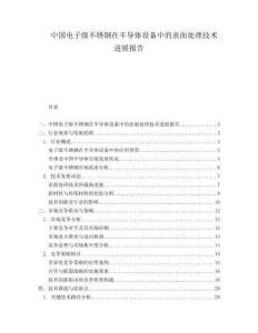 中国电子级不锈钢在半导体设备中的表面处理技术进展报告.docx