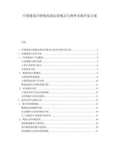 中国番茄汁跨境电商运营模式与海外市场开发方案.docx