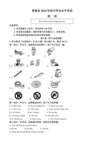 2024年青海省中考英语真题（解析版）.pdf