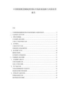 中国船舶配套螺旋桨国际市场拓展战略与风险防范报告.docx