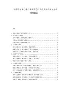 智能停车场行业市场供需分析及投资评估规划分析研究报告.docx