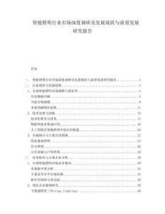 智能照明行业市场深度调研及发展现状与前景发展研究报告.docx