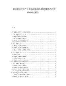 智能眼镜应用产业市场深度调研及发展趋势与投资战略研究报告.docx