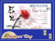 人教新课标初中语文八年级下献给母亲的歌课件