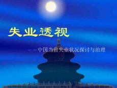失業(yè)透視【精品-PPT】