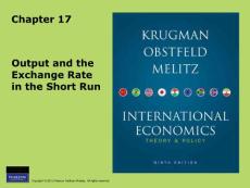 M17_Krugman_Output and the Exchange Rate in the Short Run