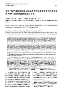 玉米PEPC基因在秈型水稻保持系不同遺傳背景下的效應及轉PEPC基因后代的耐光氧化特性