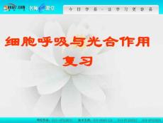 细胞呼吸与光合作用
