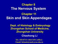 Nervous system and skin-E-Li神经系统-皮肤和皮肤感觉